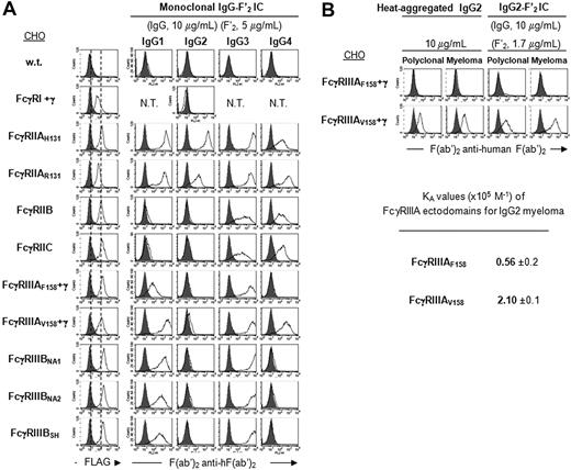 Figure 4. Binding specificity of hFcγRs for monoclonal IgG. (A) Histograms show the binding of anti-FLAG mAb (thin line) or its isotype control (solid gray), and the binding of monoclonal human IgG subclasses in complex with PE-F(ab′)2 anti–human F(ab′)2 to FLAG-tagged hFcγRs on CHO transfectants. Concentrations of human IgG and PE-F(ab′)2 anti–human F(ab′)2 are indicated. Solid gray histograms represent the binding of PE-F(ab′)2 anti–human F(ab′)2 alone; 2 independent experiments gave similar results. N.T. indicates not tested. (B) FcγRIIIAV158 is a low-affinity receptor for IgG2. Histograms show the binding of heat-aggregated IgG2 or IgG2-F′2 IC to FLAG-tagged hFcγRIIIA on CHO transfectants. Concentrations of human IgG and PE-F(ab′)2 anti–human F(ab′)2 are indicated. Solid gray histograms represent the binding of PE-F(ab′)2 anti–human F(ab′)2 alone. Affinity constants (×105 M−1) were determined from SPR analysis on immobilized FcγRIIIA ectodomains using the same concentrations of IgG2 as in Figure 3A. The standard deviation of the affinity constant (KA) determination is indicated.