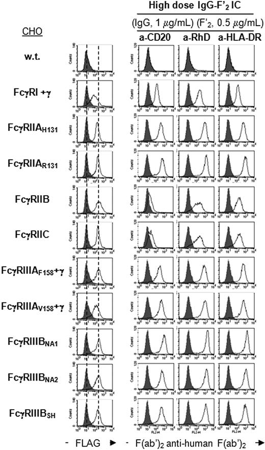 Figure 5. Binding specificity of therapeutic monoclonal IgG1-F′2 IC to hFcγRs. Histograms show the binding of anti-FLAG mAb (thin line) or its isotype control (solid gray), and the binding of indicated monoclonal IgG1-F′2 IC to FLAG-tagged hFcγRs on CHO transfectants. Concentrations of monoclonal IgG and PE-F(ab′)2 anti–human Ig are indicated. Monoclonal IgG1 used here were produced in CHO cells. Solid gray histograms represent the binding of PE-F(ab′)2 anti–human Ig alone; 2 independent experiments gave similar results.
