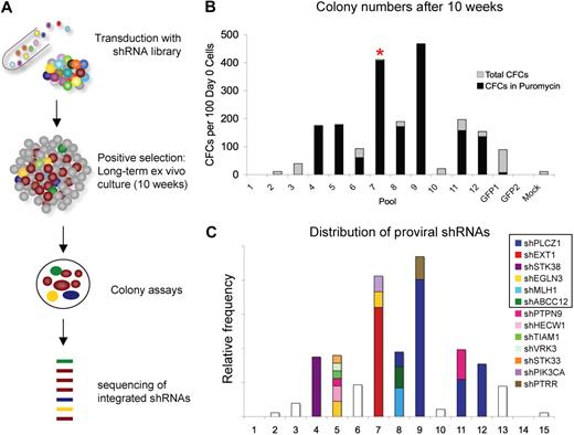 Figure 1. RNAi screen in human CB CD34 cells. (A) Overall design of the screening strategy. Large numbers of primary CB CD34+ cells are infected with the lentiviral short hairpin RNA (shRNA) library and subsequently passaged in long-term cultures (10 weeks) followed by colony-forming cell (CFC) assays to positively select for clones that have acquired enhanced self-renewal/proliferation ability. Potential hits are identified by sequence analysis of proviral inserts from the selected cells. (B) CFC levels after 10 weeks culture. Twelve pools of library-transduced cells were independently assayed. Control pools were transduced with shRNA against GFP in 2 pools, and 1 pool was left untransduced (mock). Pool 7 showed high levels of BFU-E growth indicated by *. (C) Distribution of proviral shRNAs among the screening pools that showed increased CFC levels. The graph shows relative abundance of shRNAs in each screening pool as an overlay on the colony numbers shown in panel B.