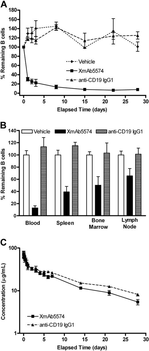 Figure 2. XmAb5574 but not anti-CD19 IgG1 depletes B cells in the blood and tissue. XmAb5574, anti-CD19 IgG1, or vehicle was administered as a single 3-mg/kg infusion (4 cynomolgus monkeys per treatment group). B cells were measured in the blood throughout the study (A) and in the blood, bone marrow, spleen, and lymph node on study conclusion, 29 days later (B). B-cell levels were assessed using flow cytometry with a CD20+CD3− gate and expressed as the percentage of baseline (mean ± SE). XmAb5574 caused a substantial reduction in blood and tissue B cells, whereas anti-CD19 IgG1 was indistinguishable from vehicle. The rank order of depletion was blood > spleen > bone marrow > lymph node. (C) Serum concentrations of XmAb5574 and anti-CD19 IgG1 were measured using an immunoassay and are shown on a log-linear plot (mean ± SD of 4 animals). The half-lives were 11 (± 1) and 13 (± 2) days for XmAb5574 and anti-CD19 IgG1, respectively, demonstrating that these antibodies displayed similar exposure and pharmacokinetic properties with the given dosing regimen.