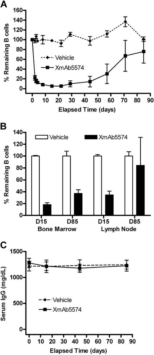 Figure 3. XmAb5574-induced depletion is followed by B-cell recovery in blood and tissue. XmAb5574 was given as a single infusion at 10 mg/kg to 6 cynomolgus monkeys. B cells were measured in the blood throughout the study and in the bone marrow and lymph node tissues on days 15 and 85 (D15 and D85) by the method described in the Figure 2 legend. (A) Blood B-cell levels dropped rapidly before the onset of recovery, which was underway in all animals by day 57. (B) B-cell levels in the tissue were reduced at day 15 and were recovering at day 85. (C) Serum IgG remained unchanged throughout the study despite extensive B-cell depletion. Values shown are the mean (± SE) at each time point.