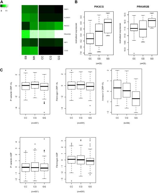 Figure 2. Association of rs342293 with platelet expression and function. (A) Heatmap of mRNA expression for 6 genes within a 1-MB interval. VST-transformed signal intensities were median-normalized, and values were averaged across biologic replicates in erythroblasts (EB; n = 4), megakaryocytes (MK; n = 4), and platelets (n = 35, whereby expression values were averaged based on rs342293 genotype). Signal intensities obtained with platelets were normalized independently from the MK and EB samples. (B) Boxplots of associations between rs342293 genotype and mRNA levels in 35 platelet samples, shown for the 2 genes with expression above detection level (PIK3CG and PRKAR2B). (C) Association of rs342293 genotypes with measurements of platelet reactivity in the Platelet Function Cohort. (Top) Standardized residuals of logit transformed levels of P-selectin expression (left), and fraction of platelets binding fibrinogen (middle) or annexin V (right) in response to the collagen mimetic CRP-XL. (Bottom) P-selectin expression and fibrinogen binding in response to ADP. Horizontal bars indicate averages and error bars indicate 1 standard deviation.