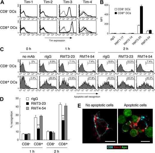 Figure 5. Tim-3 mediates phagocytosis of apoptotic cells by CD8+ DCs. (A) Low-density splenocytes were stained with biotinylated control rIgG2a (thin histograms), RMT1-17, RMT2-14, RMT3-23, or RMT4-54 (thick histograms), followed by PE-avidin, FITC–anti-CD11c mAb, and APC–anti-CD8α mAb; then Tim expression on CD8−CD11c+ or CD8+CD11c+ cells was analyzed by flow cytometry. The average of mean fluorescence intensity (MFI) ± SD of triplicates is represented in panel B. (C) Purified splenic CD11c+ cells prestained with APC–anti-CD8α mAb were treated with rIgG, RMT3-23, or RMT4-54, and then cultured with TAMRA-labeled apoptotic cells at 37°C. After the indicated time period, cells were stained with FITC–anti-CD11c mAb, and percentage recognition of TAMRA-labeled apoptotic cells by CD8−CD11c+ or CD8+CD11c+ cells was quantified by flow cytometry. Columns represent mean ± SD of triplicates in panel D (**P < .01 compared with rIgG). (E) (Left panel) Purified splenic CD11c+ cells were stained with Alexa 647–anti-CD8 mAb and Alexa 594–RMT3-23. (Right panel) Purified splenic CD11c+ cells prestained with Alexa 647–anti-CD8 mAb were cultured with CFSE-labeled apoptotic cells for 60 minutes at 37°C, and then cells were stained with Alexa 594–RMT3-23. Cells were analyzed by confocal microscopy. White bars indicate 5 μm. Similar results were obtained in 3 (A-D) or 2 (E) independent experiments.