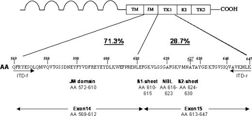 Figure 1. Analysis of FLT3_ITD integration sites from 753 unselected FLT3_ITD-positive AML cases. The localization of ITD integrations together with their respective frequencies and their position relative to functional domains of the receptor are shown for 753 ITD-positive AML patients analyzed. A significant number of ITDs (28.7%) are localized in the first tyrosine kinase domain (TK1) of FLT3. A detailed analysis showed ITD integrations in the β1-sheet of TK1, amino acids 610 to 615, in 24.6%, in the nucleotide binding loop (NBL), amino acids 616 to 623, in 2%, in the β2 sheet, amino acids 624 to 630, in 1.3% and 3′ of the β2 sheet in 0.8% of all cases. The localization of primers used to amplify, sequence, and isolate the ITD627E allele (ITD-f and ITD-r) is depicted. AA indicates amino acid; TM, transmembrane domain; JM, juxtamembrane domain; TK1, tyrosine kinase domain 1; KI, kinase insert; TK2, tyrosine kinase domain 2; and NBL, nucleotide binding loop.
