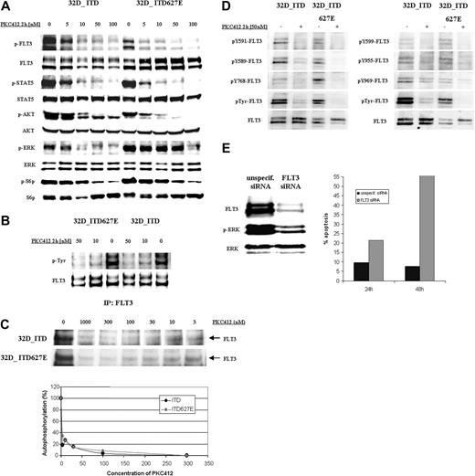 Figure 3. Inhibition of FLT3 downstream signaling nodes and of FLT3 kinase activity by PKC412 in 32D_ITD627E cells and in 32D_ITD cells. (A) 32D_ITD and 32D_ITD627E cells were treated with or without different concentrations of PKC412 for 2 hours. Protein expression and phosphorylation of FLT3 (Y591), STAT5 (Y694/Y699), AKT (S473), ERK1/2 (T202/Y204), and S6 protein (S240/S244) were determined by immunoblotting. (B) Overall tyrosine phosphorylation of FLT3 in 32D_ITD and 32D_ITD627E cells after treatment with PKC412 for 2 hours was determined by immunoprecipitation of FLT3 and Western blot analysis using anti–phosphotyrosine antibody (4G10). (C) Assessment of in vitro kinase activity of immunoprecipitated FLT3_ITD and FLT3_ITD627E receptors upon incubation in the absence and presence of various concentrations of PKC412. The experiment shown is representative of 4 with consistent results. (D) Overall tyrosine phosphorylation and specific tyrosine phosphorylation of phosphoepitopes of FLT3 in 32D_ITD and 32D_ITD627E cells after treatment with PKC412 for 2 hours was determined by immunoprecipitation of FLT3 and Western blot analysis using anti-FLT3 antibody, anti–phosphotyrosine antibody (4G10), anti-FLT3pY591, anti-FLT3pY589, anti-FLT3pY599, anti-FLT3pY768, anti-FLT3pY955, and anti-FLT3pY969 antibodies. (E) Phosphorylation of ERK1/2 (T202/Y204) was assessed in 32D_ITD627E cells by immunoblotting 24 hours after introduction of FLT3-specific siRNA (left panel). Percentage of apoptotic 32D_ITD627E cells was determined in parallel by flow cytometry 24 hours and 48 hours after siRNA knockdown of FLT3 (right panel).