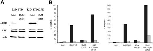 Figure 4. ERK1/2 inhibition and sensitivity to PKC412 in FLT3_ITD627E cells. (A) Phosphorylation of ERK1/2 (T202/Y204) was analyzed by Western blotting in 32D_ITD and 32D_ITD627E cells after treatment for 2 hours with and without U0126. (B) Induction of apoptosis was assessed in 32D_ITD (■) and 32D_ITD627E () cells after treatment with PKC412 (10 nM), U0126 (10 μM), or a combination of both, for 24 hours (left panel) and 48 hours (right panel). Shown is 1 representative result of a total of 3.