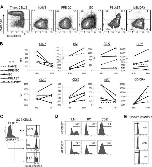 Figure 4. RB expression correlates with increased signs of activation and selection and is highest among late-stage and/or terminally differentiated peripheral B-cell subsets. (A) RB versus RO dot plots were generated for naive, pre-GC, GC, Pblast, and memory B-cell subsets that collectively represent the spectrum of peripheral B-cell development, ranging from early (naive) to late (memory). The “TB45BO” system was used to assign RB−/lo, RB+, RO−, and RO+ (combined RO+/− and RO+) gate limits. The percentage of cells in each fraction is indicated. (B) Mean fluorescence intensities (MFIs) for several additional markers were quantified among RB−/lo and RB+ fractions from each B-cell subset. Markers were partially indicative of selection (CD77, IgM), late-stage development or terminal differentiation (CD27), potential interactions with accessory cells (CD25, CD40), and activation/proliferation (CD69, Ki67). (C) The total GC (IgD−CD38+) pool was subdivided into RB−/lo and RB+ fractions. Each RB fraction was then applied to a CD38 histogram to characterize the distribution of cells across the CD38 spectrum. RB−/lo GC B cells exhibited a bell-curve distribution across the CD38 spectrum, showing a strong central tendency (indicated by the bisecting dotted line). In contrast, RB+ GC B cells produced a “V-shaped” distribution across the CD38 spectrum and were skewed toward either the CD38− or CD38++ gate limits. (D) RB+ GC B cells were further split into CD38LO and CD38HI fractions in accordance with the dividing gate depicted in panel C. In separate analyses, the percentage of IgM+, RO+, and CD27+ cells were calculated for each fraction. RB+CD38HI GC B cells were relatively more similar to Pblast B cells than memory cells (↑RO, ↑CD27). Conversely, the RB+CD38LO fraction was more consistent with memory B cells than Pblast. (E) Isotype control antibodies for FITC (RB), Alexa Fluor 750 (A750; CD27), and PE analyses (RO).
