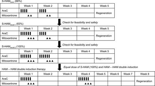 Figure 1. Schema of the S-HAM regimen and of the planned 3-step escalation of S-HAM within the AMLCG 2004 study.