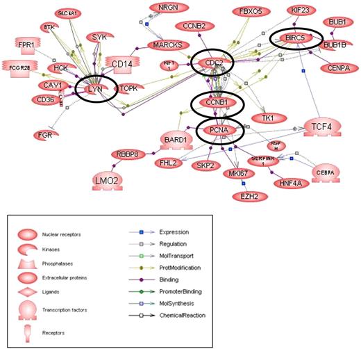 Figure 2. Schematic of molecular interactions using Pathway Studio, version 4.0, for genes increased in leukemia samples more than 4-fold above CD4+. The shape of a given protein is indicative of its functional class as shown in the legend. Also included in the legend is the definition of the lines connecting 2 genes. The “central” genes are circled in black.