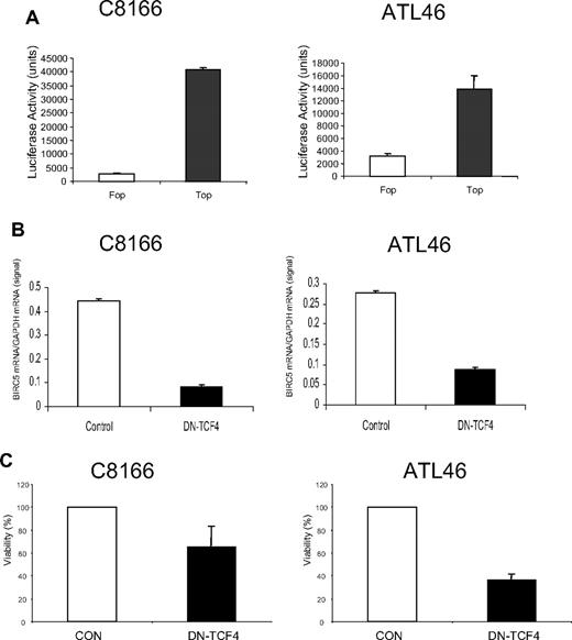 Figure 4. TCF4 regulates BIRC5 expression. (A) To determine whether TCF transcription activity was present in HTLV-1–infected cells, promoter plasmids containing 3 wild-type (pGL3-OT/Top; ■) or mutant (pGL3-OF/Fop; □) copies of the TCF4 binding site driving luciferase expression were transfected into C8166 or primary cells from an ATL patient (ATL46) using Human T-cell Nucleofection kit (Amaxa). The CMV–β-galactosidase control plasmid was cotransfected to adjust for transfection efficiency. Graphs represent luciferase activity from at least 2 independent experiments. (B) Control (□) plasmid or plasmid expressing a dominant-negative TCF4 protein (DN-TCF4; ■) were transiently transfected into C8166 or ATL46 cells as described in “Methods.” Forty-eight hours after transfection, cells were harvested, total RNA extracted, and RT-PCR performed for BIRC5 and GAPDH mRNA. The graph represents the BIRC5 mRNA levels per GAPDH message done in triplicate. (C) Transfection of C8166 and ATL46 cells was performed as described in “Methods.” Forty-eight hours after transfection, the viability of the cells was determined using trypan blue dye exclusion. The viability of the cells from the vector control (CON) transfection was set at 100%. The graph represents values from at least 3 experiments.