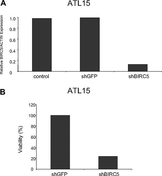 Figure 5. BIRCS expression contributes to cell viability. BIRC5 RNA levels (A) and cell viability (B) for ATL15 PBLs electroporated with shRNA control or BIRC5 vectors (Superarray Bioscience). The control values were set to 1. For these studies, cells directly from the patient were cultured in media containing 20% fetal bovine serum, 2 mM l-glutamine, and 50 U IL-2.