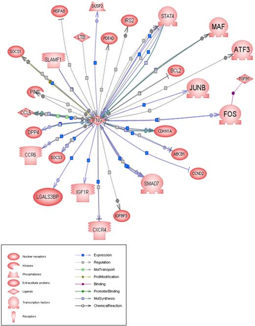 Figure 7. Schematic of molecular interactions using Pathway Studio, version 4.0, for genes decreased in leukemia samples more than 4-fold below CD4+. The central gene is IFN-γ. The dotted lines represent regulation of function between 2 genes. The shape of a given protein is indicative of its functional class as shown in the legend. Also included in the legend is the definition of the lines connecting 2 genes.