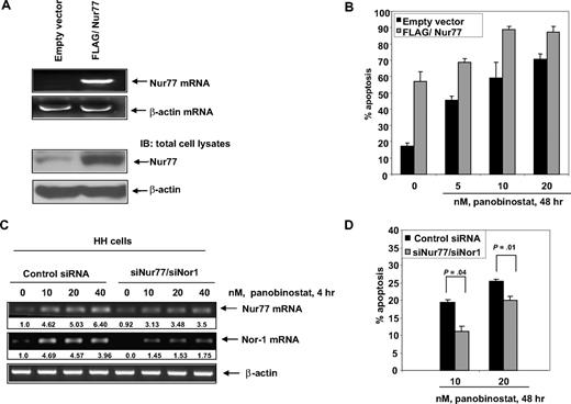 Figure 5. Overexpression of Nur77 enhances panobinostat-induced apoptosis, whereas combined RNA interference of Nur77 and Nor1 decreases panobinostat sensitivity of CTCL cells. (A) HH cells were transfected with empty vector or pcDNA3.1 FLAG/Nur77 for 48 hours. Then, total RNA was isolated and RT-PCR was done for Nur77. A β-actin–specific PCR and expression served as the loading control for the amplification. Alternatively, total cell lysates were prepared and immunoblot analysis was done for Nur77. The levels of β-actin in the lysates served as the loading control. (B) HH cells were transfected with empty vector or pcDNA3.1 FLAG/Nur77 for 48 hours. Transfected cells were treated with the indicated concentrations of panobinostat for 48 hours. Apoptosis was assessed by staining with propidium iodide and subG1 cells were detected by flow cytometry. Columns represent mean of 3 experiments; bars, standard error of the mean. (C) HH cells were transfected with control siRNA or siNur77 and siNor1 for 48 hours. Following this, the cells were treated with the indicated concentrations of panobinostat for 4 hours and RT-PCR was done for Nur77 and Nor1. A β-actin–specific PCR and expression served as the loading control for the amplification. (D) HH cells were transfected with control siRNA or siNur77 and siNor1 for 48 hours. Following this, transfectants were treated with the indicated concentrations of panobinostat for 48 hours and apoptosis was assessed by flow cytometry. Columns represent mean of 3 experiments; bars, standard error of the mean. Statistical significance was determined by Student t test.