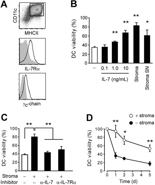 Figure 1. IL-7 supports BMDC survival in vitro. (A) Flow cytometric analysis of day 10 WT BMDCs (CD11c+ MHCII+) for IL-7Rα (middle panel, black line) and γc-chain expression (bottom panel, black line). As control, IL-7Rα staining is shown for IL-7Rα−/− BMDC (middle panel, gray shading) or isotype-control antibody staining on WT BMDCs (bottom panel, gray shading). (B-D) Day 10 BMDCs were cultured in the absence of GM-CSF, and their survival was assessed by trypan blue dye exclusion. No significant differences were observed between MHCIIhi and MHCIIint CD11c+ BMDCs (data not shown) and were therefore pooled for the analysis. (B) BMDCs were cultured for 24 hours either alone (−), in the presence of increasing concentrations of recombinant IL-7 protein, on a layer of subconfluent LN stromal cells (ratio of 10 BMDCs to 1 stromal cell), or with supernatant (SN) derived from a 3-day LN stromal cell culture. (C) Neutralizing antibodies to IL-7 (10 μg/mL) or IL-7Rα (20 μg/mL) were added to BMDCs cultured for 24 hours with LN stromal cells. (D) Culture of BMDCs with or without LN stromal cells for 1, 2, or 5 days. P values (*P < .05; **P < .01; ***P < .001) are relative to the same time point of the “no-stroma” control. Data (± SD) are representative of at least 2 experiments with 3 independent samples each.