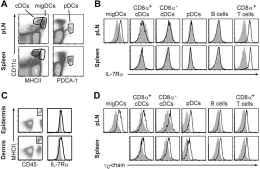 Figure 2. IL-7R is expressed on steady-state migDCs but not cDCs or pDCs. DC subsets from pLN, spleen, and skin were analyzed for IL-7Rα and γc-chain expression using flow cytometry. (A,B) Analysis of IL-7Rα expression on migDCs (CD11c+ MHCIIhi), CD8α+ and CD8α− cDCs (CD11c+ MHCIIint), pDCs (CD11cint PDCA-1+ CD45RA+), B cells (CD11c− MHCII+) and T cells (CD8α+ CD11c−) in the pLN and spleen of WT (■) and IL-7Rα−/− (▩) mice. (C) Analysis of IL-7Rα expression on DCs (7-AAD− CD45+ MHCII+) isolated from the epidermis (top panels) or dermis (bottom panels) from WT (■) or IL-7Rα−/− (▩) mice. These cells were also CD11c+ (not shown). (D) Expression of γc-chain was assessed in WT mice using an antibody against γc-chain (■) or an isotype control antibody (▩). Data are representative of 3 experiments.