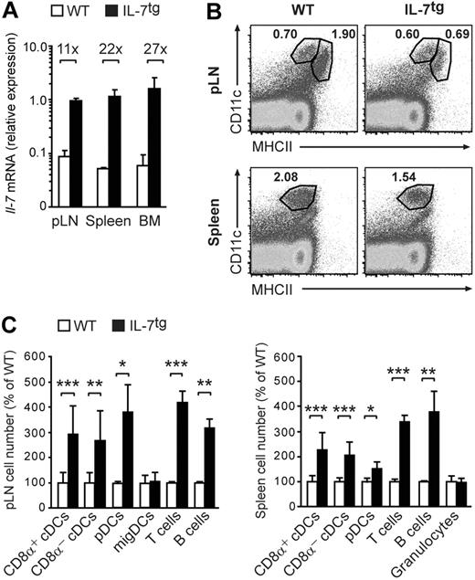 Figure 3. Increased cDC and pDC numbers in IL-7tg mice. (A) Il-7 mRNA was quantified by real-time PCR in the pLN and spleen of adult WT and IL-7tg mice (n = 3). Numbers indicate fold increase in IL-7tg over WT mice. (B-D) Cells isolated from the pLN or spleen of WT and IL-7tg mice were stained and analyzed by flow cytometry. (B) Representative dot blots are shown for cDCs (MHCIIint) and migDCs (MHCIIhi) in WT and IL-7tg tissues. Numbers indicate the percentage of DC subsets among hematopoietic cells found in total pLN (top panels) or spleen (bottom panels). (C) Bars depict the number of DC subtypes, T cells, B cells (all gated as in Figure 2), and granulocytes (Gr-1hi CD11bhi). Mean cell numbers in WT mice were defined as 100%. Relative cell numbers are shown for WT versus IL-7tg mice. *P < .05; **P < .01; ***P < .001. Data (± SD) in panels B through D are representative of a total of 3 to 9 mice per group.