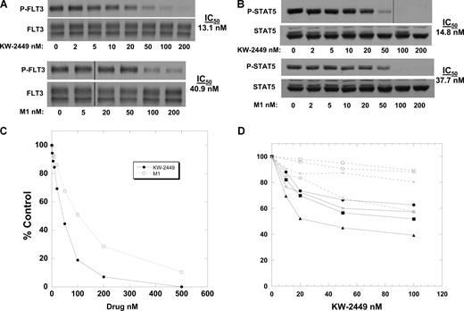 Figure 1. KW-2249 and its metabolite inhibit FLT3. (A) Molm14 cells in culture medium were incubated for 1 hour in increasing concentrations of KW-2449 (top blots) and M1 (bottom blots). The cells were lysed, and FLT3 was immunoprecipitated from the extracts and resolved by SDS-PAGE. After probing the blots with antiphosphotyrosine (4G10), the blots were stripped and reprobed with anti-FLT3 to confirm equal lane loading. The blots were analyzed by densitometry, and the IC50 values were calculated using linear regression analysis. Vertical lines have been inserted to indicate a repositioned gel lane. (B) Extracts from the experiment in panel A were resolved directly with SDS-PAGE and the blots were probed with anti–phospho-STAT5, then stripped and reprobed with anti-STAT5 to confirm equal lane loading. Densitometry was performed as in panel A. Vertical lines have been inserted to indicate a repositioned gel lane. (C) Molm14 cells were incubated in culture medium with increasing concentrations of KW-2449 (solid line) or M1 (dashed line) for 48 hours. The MTT assay was then performed, with results plotted as percent untreated control. (D) Primary AML cells isolated from the peripheral blood of patients on the clinical trial prior to beginning treatment with KW-2449 were incubated for 48 hours with increasing concentrations of KW-2449. After 48 hours, the MTT assay was performed and the results plotted as percent untreated control. Four of the patients harbored FLT3/ITD mutations (solid lines), and 4 did not (dashed lines).