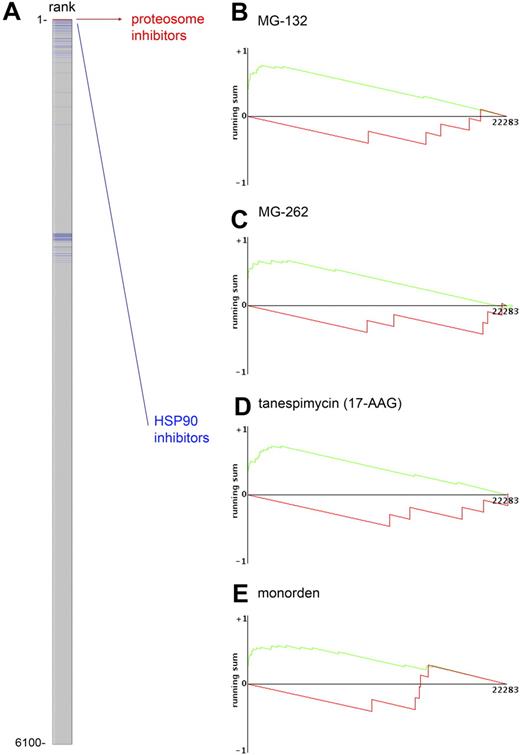 Figure 3. The early cellular genetic response to pristimerin closely resembles genomic responses to proteosome and HSP90 inhibitors. (A) Genome-wide expression data from cell lines treated with vehicle or pristimerin 500 nM for 4 hours were used to generate a pristimerin early response gene signature that was then analyzed using Cmap (Build 2) to identify similarities between the pristimerin-induced biologic response and that of other drugs. More than 6000 unique expression profiles from 1309 compounds (some with multiple instances representing distinct cell lines or time points) were compared and rank-ordered for similarity to pristimerin's signature. The gray column represents the dataset of 6000 expression profiles. Four of the top-ranked profiles (red bars at the top of column), resembling the pristimerin signature, were from proteosome inhibitors, MG-132 (1/1 instance) and MG-262 (all 3/3 instances in dataset). Some gene response profiles from HSP90 inhibitors (blue bars: one per database instance) also closely resembled that of pristimerin, although other HSP90 profile instances were less closely matched, possibly reflecting the duration of drug exposure or cell line tested. (B-E) To the right are graphic representations of the connectivity scores for the gene expression signature of pristimerin and proteosome inhibitors (B) MG-132 or (C) MG-262, or Hsp90 inhibitors (D) tanespimycin (17-AAG) and (E) monorden, showing marked enrichment of the pristimerin signature in expression responses for these drugs. Interpretation of the plots and connectivity score is described at http://www.broad.mit.edu/cmap.