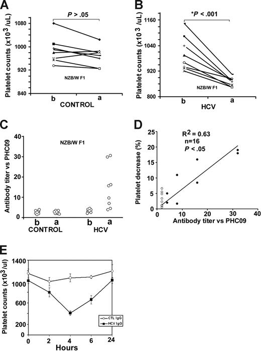 Figure 6. Effect of recombinant HCV core envelope 1 injection on mouse platelet counts. NZB/W F1 mice were challenged with multiple control (A) or rHCV core envelope 1 (B) injections. At 90 days, the platelet count had decreased in 8 of 8 NZB/W F1 mice (x-axis: b and a refer to before and after immunization, respectively; n = 8, P < .001) (B). No decrease in platelet count was found in the comparison group immunized with control protein (A). The serum titer to peptide PHC09 was elevated in NZB/W F1 mice immunized with rHCV core envelope 1 (HCV; C), whereas the control protein (control) had no effect. (D) Correlation between percentage platelet count decrease and serum titer versus PHC09 in NZB/W F1 mice. Percentage platelet decrease correlated inversely with serum titer versus PHC09 (r2 = 0.63, n = 16, P < .05). · and ○ refer to NZB/W F1 mice immunized with rHCV core envelope 1 or control protein, respectively. (E) In vivo induction of thrombocytopenia in mice injected with affinity-purified anti-PHC09 IgG derived from NZB/W F1 mice immunized with rHCV core envelope 1. Purified control mouse IgG (Ctl IgG), and mouse IgG against PHC09 (HCV IgG; 25 μg/mouse) were injected intraperitoneally into Balb/c mice (n = 4 per group). SEM is given.