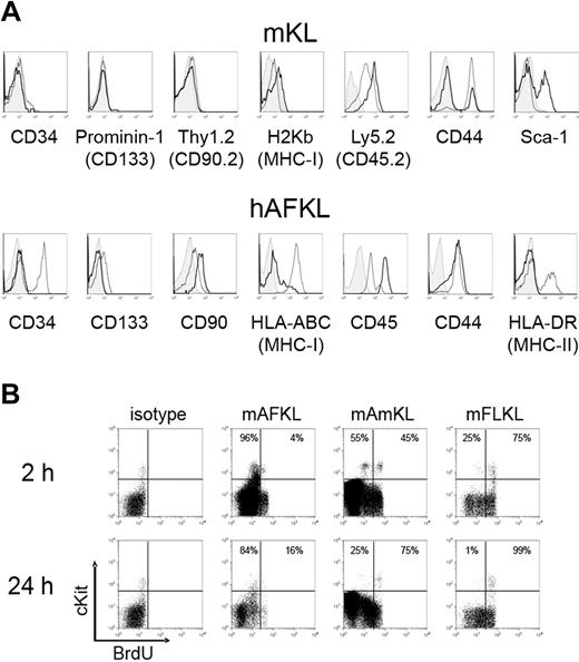 Figure 2. Phenotypic characterization of murine and human KL cells. (A) Murine KL cells from the AF (black bold solid line) and FL (gray normal solid line) were stained with antibodies specific for CD34, prominin-1, Thy1.2, H2Kb, Ly5.2, CD44, and Sca-1. Representative histograms for cells at E13.5 are shown. Am is not shown as it overlaps to FL for all the markers analyzed. Human AF (black bold solid line) and CB (gray normal solid line) KL cells were stained with specific mAbs for CD34, CD133, CD90, HLA-ABC, CD45, CD44, and HLA-DR. For both murine and human cells, the control isotype is indicated in light gray. (B) Analyses of murine KL cell-cycling status. Cells from wild-type C57BL/6 embryos were harvested 2 or 24 hours after the first administration of BrdU at E12.5. BrdU incorporation by Lin− cells was detected by fixation, permeabilization, and staining with a fluorescein isothiocyanate–conjugated anti-BrdU Ab. The results of 1 of 2 experiments are shown.