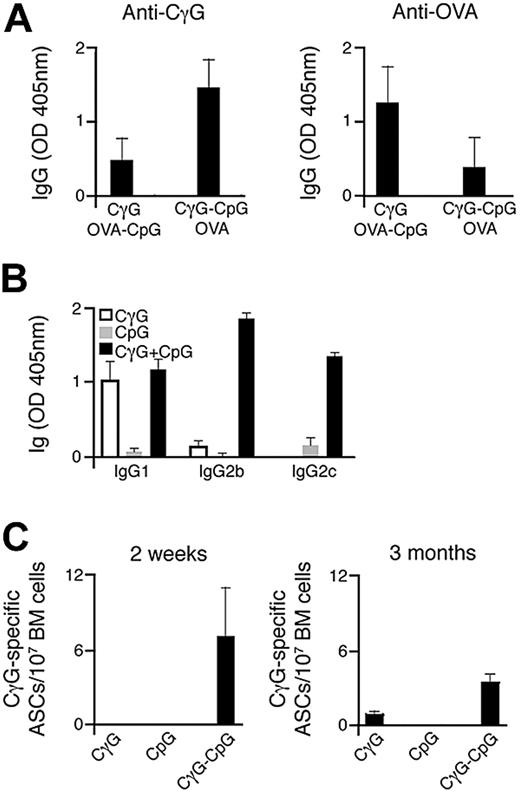 Figure 1. Immunization with particulate Ag-CpG enhances specific antibody responses and promotes class switching to IgG2 isotypes. (A) C57BL/6 mice (3 mice per group) were immunized once with either 1 μL OVA-CpG–coated particles with 1 μL CγG-coated particles or 1 μL CγG-CpG particles with 1 μL OVA-coated particles. Serum CγG- (left panel) and OVA-specific IgG (right panel) were measured 14 days after immunization. Data are representative of 2 independent experiments. (B,C) C57BL/6 mice were immunized with 10 μL of either particulate CγG alone, particulate CpG alone or particulate CγG-CpG. (B) CγG-specific IgG subtypes were determined by ELISA 14 days after immunization; (C) ELISPOTs were used to quantify the number of bone marrow CγG-specific IgG secreting ASCs 14 days and 3 months after immunization. Values represent the mean (± SD) from triplicate samples.