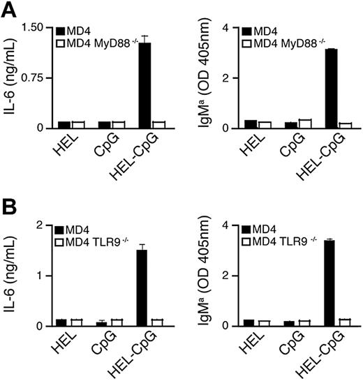 Figure 3. B-cell proliferation and differentiation in response to particulate Ag-CpG is dependent on stimulation of TLR9 in vitro. (A,B) MD4 and (A) MD4 TLR9−/− or (B) MD4 MyD88−/− B cells were stimulated with 1 μL particulate HEL alone, particulate CpG alone or particulate HEL-CpG for 72 hours. IL-6 (left panels) and IgMa (right panels) secretion were determined by ELISA. Values represent the mean (± SD) from triplicate samples.