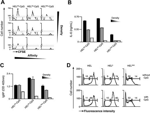 Figure 4. BCR-mediated uptake of Ag-CpG conjugates is regulated by the avidity of the Ag-BCR interaction in vitro. (A-C) CFSE-labeled MD4 B cells were stimulated with 1 μL particulates coated with CpG together with HELRD either (left panels), HELKD (middle panels), or HELRKD (right panels) at high (top panels), intermediate (middle panels), or low density (bottom panels). B-cell proliferation and differentiation were measured 72 hours after stimulation. (A) CFSE dilution in stimulated (black line) or unstimulated (filled gray) MD4 B cells was measured by flow cytometry. (B) IL-6 and (C) IgMa secretion were measured by ELISA. (D) MD4 B cells were stimulated with 1 μL fluorescent particulates left either uncoated (filled gray) or coated with HEL, HELK, or HELRKD in the absence (top panels) or presence (bottom panels) of CpG. Flow cytometry was used to assess binding of particulates: gates shown indicate the percentage of live cells binding intermediate levels (left gate) and high levels (right gate) of particulates. Values represent the mean (± SD) from triplicate samples.