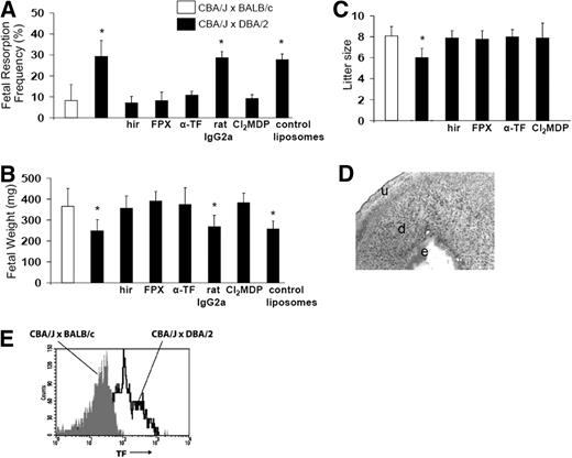 Figure 2. Blockade of TF, anticoagulation, or monocyte depletion prevents fetal death and IUGR in CBA/J × DBA/2 mice. CBA/J × BALB/c mice, CBA/J × DBA/2 mice, and CBA/J × DBA/2 mice that received different treatments were killed on day 15 of pregnancy, uteri were dissected, and fetal resorption rates (A) and fetal weight were recorded (B). (C) Litter size at birth. (D) Immunohistochemical analysis for TF in a section of decidua from CBA/J × DBA/2 mice depleted of monocytes with Cl2MDP. Minimal amounts of TF and intact embryo (e) were observed in deciduas (d) of CBA/J × DBA/2 mice depleted of monocytes. Original magnification ×40. (E) FACS analysis of TF expression on whole blood monocytes from BALB/c- and DBA/2-mated CBA/J mice. The number of TF-positive monocytes increased in CBA/J × DBA/2 mice in comparison with CBA/J × BALB/c mice (P < .001). n = 5-8 mice/each experimental group. Four to 5 placentas per mouse were studied. Data are mean values plus or minus SD.