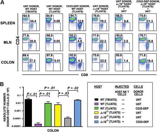 Figure 4. Host NKT cells and donor CD4+CD25+ T cells inhibit accumulation of donor CD8+ T cells in TLI/ATS-conditioned host tissues. (A) Representative analyses of gated donor H-2Kb+TCRαβ+ cells, showing CD4 versus CD8 in spleen, MLN, and colon at day 6 after bone marrow and splenocyte transplantation in TBI/ATS-conditioned BALB/c hosts given wild-type C57BL/6 transplants and in TLI/ATS-conditioned hosts in the following groups: wild-type BALB/c hosts given untreated C57BL/6 transplants, wild-type BALB/c hosts given CD25+ T cell–depleted C57BL/6 transplants, invariant NKT cell–deficient Jα18−/− BALB/c hosts given untreated C57BL/6 transplants, and Jα18−/− BALB/c hosts receiving 0.5 × 106 purified wild-type BALB/c NKT cells 4 hours before either untreated or CD25 T cell–depleted C57BL/6 transplants. Percentages of CD4 or CD8 T cells are shown enclosed in boxes. (B) Comparison of mean absolute number (± SE; ×106) of H-2Kb+CD8+TCRαβ+ cells isolated at day 6 from the colon of groups shown in panel A. n = 4-8 per group.