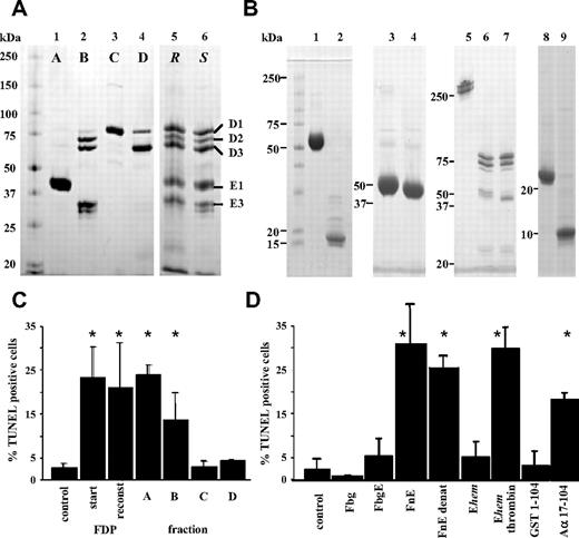Figure 2. Apoptotic activity of FDP resides in Aα17-104. (A) Nonreducing SDS-PAGE analysis of total FDP (lane 6, S) fractionated by DEAE ion-exchange chromatography. Fractions A-D (lanes 1-4) were combined (lane 5, R) to reconstitute the starting material (lane 6, S); Coomassie stain. (B) Nonreducing SDS-PAGE analysis of native (FnE, lane 1) and reduced/alkylated fibrin fragment E (lane 2); fibrinogen fragment E derived by proteolysis with hementin (Ehem; lane 3); Ehem treated with thrombin (lane 4); fibrinogen (Fgn; lane 5); fibrinogen degradation products after plasmin treatment (Fgn-DP; lane 6); Fgn-DP treated with thrombin (lane 7); recombinant E coli GST-Aα1-104 (GST1-104; lane 8) and purified recombinant Aα17-104 (lane 9). (C) Apoptotic activity of fractionated FDP on JEG3 cells, corresponding to preparations characterized in panel A. (D) Apoptotic activity of fibrin(ogen)-derived fragments characterized in panel (B). Fbg, fibrinogen; FbgE, fibrinogen fragment E; FnE, fibrin fragment E; FnE denat., FnE after reduction/alkylation. Ehem, fibrinogen fragment E derived by hementin proteolysis of fibrinogen; Ehem-thrombin, Ehem treated with thrombin to release fibrinopeptide A; GST 1-104, intact recombinant E coli GST fusion protein with Aα1-104; Aα17-104, recombinant fibrin a-chain fragment derived by thrombin-cleavage of GST 1-104, followed by removal of GST 1-16. Bars in (C) and (D) represent mean plus or minus SE from 3 independent experiments. *P < .05 by t test.
