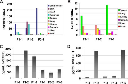 Figure 2. Human VEGF-D expression in TG mice. Results of one representative real-time RT-PCR run with 3 mice were chosen to show the general pattern of TG expression in different tissues. F1-1 and F1-2 are mice of generation F1; F3-1, -2 and -3 are TG mice of generation F3. (A) All analyzed tissues are included in the same histogram. Because the scale is wide, the tissues that showed moderate to very low TG expression are shown with a lower scale in panel B. (C,D) Representative ELISA assays for hVEGF-D protein content in TG mice. (C) hVEGF-D protein in tissue lysates of F1 and F3 TG mice. (D) hVEGF-D protein in plasma of 5 F1 mice. Error bars represent ± SD.