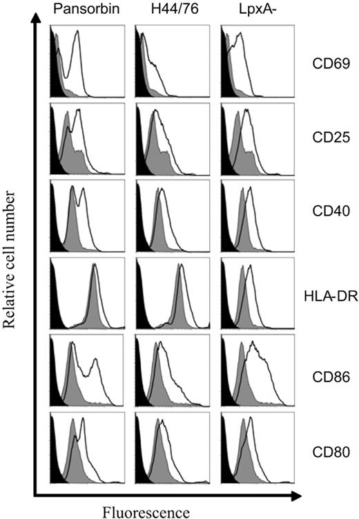 Figure 3. PBMC B-cell activation by Nm OMVs. Purified peripheral blood B cells (106/mL) from healthy controls were stimulated with Pansorbin, 50 μg/mL; H44/76, 25 μg/mL; and LpxA−, 25 μg/mL OMVs. After 48 hours, the expression of CD69, CD25, CD40, HLA-DR, and CD86/80 molecules was assessed on CD19+ B cells with the use of flow cytometry. The histogram black line represents antigen stimulated cells, gray shaded area is media only, and black fill is unstained cells. Data shown are normalized to the number of events. Results are representative of 5 separate experiments.