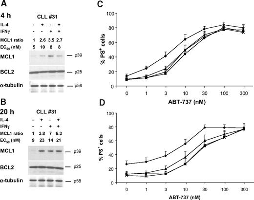 Figure 2. Up-regulation of MCL1 is not sufficient to induce resistance to ABT-737. CLL cells were pretreated with either 50 ng/mL IL-4 or IFNγ for 4 hours (A,C) or 20 hours (B,D). (A,B) After cytokine treatment, proteins were prepared and analyzed by Western blotting for expression of MCL1, BCL2, or α-tubulin as a loading control. Data from cells of one representative patient typical of 9 examined are shown. MCL1 levels of all 9 patients were quantified by densitometric analysis of Western blots, and values shown are the ratio of MCL1 in treated compared with control cells. The EC50 of ABT-737 at 4 hours is also shown. (C,D) After cytokine treatment (control ♦, IL-4 ▲, IFNγ ■, IL-4 and IFNγ ×), CLL cells were exposed for 4 hours to ABT-737 and apoptosis assessed by PS externalization. Data are the mean plus SEM (n = 9).