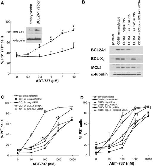 Figure 6. Identification of BCL2A1 and BCL-XL as resistance factors for ABT-737. (A) Jurkat T cells were transiently transfected with pYFP-BCL2A1 (solid line) or empty vector control (dotted line) using Amaxa program C-16. After transfection for 16 hours, cells were exposed to different ABT-737 concentrations for 4 hours and apoptosis was assessed by PS externalization in the YFP-positive population. Data are mean plus SEM of 5 independent experiments. Statistics were done using t test (*P < .05). Inset shows expression of BCL2A1 in the total population by Western blotting in one representative experiment. (B-D) CLL cells were transfected with siRNA against BCL-X, BCL2A1, or negative control siRNA using Amaxa program X-5. Directly after nucleofection, cells were cultured on CD154-expressing cells in the presence of IL-4 (10 ng/mL) for 16 hours. (B) Knockdown of BCL-XL and BCL2A1 was confirmed by Western blotting. (C) After knockdown of BCL-XL or BCL2A1, CLL cells were removed from CD154-expressing cells and exposed to different concentrations of ABT-737 for 4 hours. Apoptosis was assessed by PS externalization and AnnexinV/FITC binding (n = 15). Statistics were done using one-way ANOVA followed by Bonferroni multiple comparison test. The BCL2A1 siRNA showed significant difference to both CD154 untransfected as well as CD154 negative siRNA group (*P < .01), while BCL-X siRNA showed significant difference only compared with CD154 untransfected group (*P < .01). (D) After combined knockdown of BCL-XL and BCL2A1, CLL cells were removed from CD154-expressing cells and exposed to different concentrations of ABT-737 for 4 hours. Apoptosis was assessed by PS externalization and annexin V/FITC binding (n = 3). In cells from another 8 patients, the combined knockdown was inefficient compared with the single knockdowns (Figure S2). Statistics were done using one-way ANOVA followed by Dunnett multiple comparison test using parental untransfected as control group. Reversal of resistance as indicated by no significant difference to control group is indicated with † (P > .05).