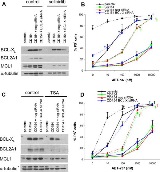 Figure 7. Knockdown of BCL-XL in combination with agents that suppress BCL2A1 completely resensitizes CLL cells to ABT-737. CLL cells were transfected with negative control siRNA or BCL-X siRNA and immediately after nucleofection cultured on parental or CD154-expressing cells in the presence of IL-4 (10 ng/mL) for 24 hours. (A,B) After removal from parental or CD154-expressing cells, CLL cells were exposed to 50 μM seliciclib for 20 hours, and protein expression was analyzed by Western blotting (A). Seliciclib treatment was followed by exposure to different concentrations of ABT-737 for 4 hours, and apoptosis was assessed as PS externalization and Annexin V/FITC binding (solid lines indicate control; dotted lines, seliciclib; B, n = 4). (C,D) After removal from CD154-expressing cells, CLL cells were exposed to 500 nM TSA for 20 hours, and protein expression was analyzed by Western blotting (C; *nonspecific band). TSA treatment was followed by exposure to different concentrations of ABT-737 for 4 hours, and apoptosis was assessed as PS externalization and Annexin V/FITC binding (solid lines indicate control; dotted lines, TSA; D, n = 3). (B,D) Statistics were done using one-way ANOVA followed by Dunnett multiple comparison test using parental as the control group. Reversal of resistance as indicated by no significant difference to the control group is indicated with † (P > .05).
