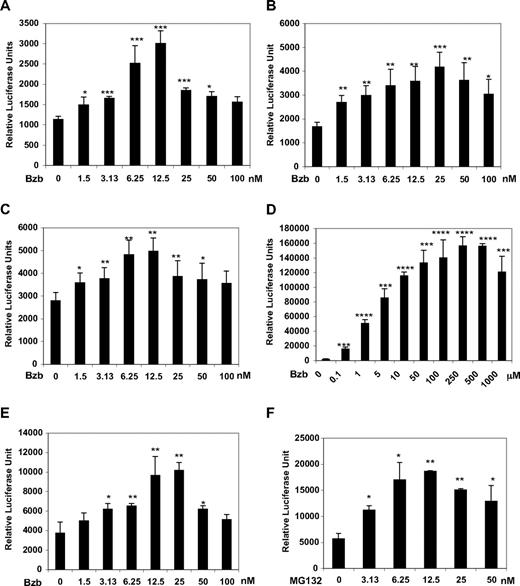 Figure 3. Bzb increases TCF transcriptional activity in OBs and MSCs. C2C12 (A,F), C3H10T1/2 (B), MG63 (C), Saos-2 (D), and MSC from MM (E) were plated in 12-well plates and transiently cotransfected with 0.5 μg TOPflash and 50 ng pSV-β-galactosidase vector. The cells were treated with indicated concentrations of Bzb (A-E) or indicated concentration of MG132 (F) for 24 hours. The cell lysates were subjected to luciferase quantification as described in “Luciferase reporter assay.” Results represent the mean plus or minus SD of triplicate transfection of one representative experiment. * P < .05, ** P < .01, *** P < .001, **** P < .001 vs controls.