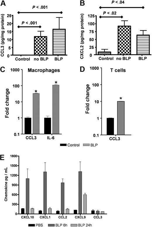 Figure 2. BLP does not alter inflammatory chemokine production in the skin. (A,B) D6-deficient mice were given intraperitoneal BLP (100 μg) or vehicle injections, TPA was applied to skin and mice culled 24 hours later. Skins were removed, lysed, and levels of CCL3 (A) and CXCL2 (B) were measured by the use of ELISA and compared with levels detectable in untreated control mouse skin. These data are representative of 2 separate experiments with 3 to 5 mice per group. (C,D) Primary cultures of bone marrow–derived macrophages (C) and anti-CD3 primed CD4+ T cells from D6-deficient mice (D) were stimulated with 100 ng/mL BLP for 4 hours in complete RPMI, RNA extracted, and transcripts for CCL3 and IL-6 quantified by qPCR and expressed as fold change relative to unstimulated cultures. Bars show the mean of 4 replicates plus or minus SEM. Marked bars are statistically different from control unstimulated cells (Student t test; *P < .01). (E) BLP (100 μg) was administered intraperitoneally to D6-deficient mice, and blood was collected and plasma prepared 6 and 24 hours later. Chemokine levels in the plasma were assayed by Luminex. These data are mean average measurements from 3 mice per point ± SD.