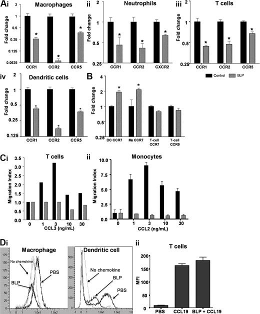 Figure 3. BLP down-regulates inflammatory chemokine receptor expression. (A) Macrophages (i), neutrophils (ii), CD4+ T cells (iii), and dendritic cells (iv) from D6-deficient mice were stimulated with BLP at 50 ng/mL (macrophages, neutrophils, DCs) or 1 μg/mL (T-cells) for 4 hours and inflammatory chemokine receptor expression determined by qPCR. (B) Transcripts for homeostatic chemokine receptors were also determined by qPCR. (C) Untreated or BLP-treated (i) mouse CD4+ T cells and (ii) human monocytes were tested for migration toward CCL3 and CCL2, respectively, in transwell assays. The data represent the alterations in the measured migration index and are representative of 3 experiments each. SEMs are indicated for the monocyte migration assays. (Di) Surface CCR2 levels were assessed after treatment of macrophages and DCs for 16 hours with 100 ng/mL BLP by analysis of binding of the Alexa Fluor–labeled CCR2 ligand, CCL2. Binding of this labeled ligand was quantified using flow cytometry. (Dii) BLP does not alter cell surface expression of CCR7 as measured by PE-labeled CCL19 binding and internalization. All bars for qPCR data show mean fold change of 4 replicates ± SEM compared with cells treated with vehicle. Marked bars are statistically different from unstimulated cells (Student t test; *P < .01).