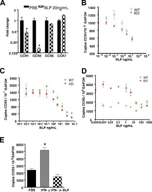 Figure 5. Activation is required for BLP-mediated reduction of CCR5 transcript levels. (A) Bone marrow-derived macrophages from WT mice were stimulated with 20 ng/mL BLP and CCR transcript levels determined. CCR1 (B) and CCR2 (C) transcript reduction was similar and dose-dependent in both WT and D6-deficient macrophages. (D) CCR5 transcripts were greater in resting D6-deficient macrophages and BLP stimulation reset these levels to those seen in WT macrophages. (E) Treatment with 10 ng/mL of IFN-γ for 24 hours induced CCR5 up-regulation in WT macrophages was reset by 4 hours of BLP stimulation to the lower level observed in resting WT cells. Marked bars are statistically different from unstimulated cells (Student t test; *P = .02).