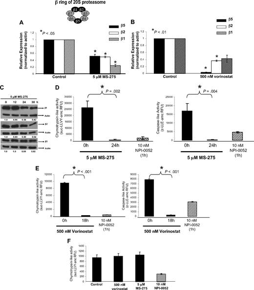 Figure 3. HDACi, (MS-275 and vorinostat), target the proteasome. (A) MS-275 decreased mRNA expression of catalytic β5, β2, β1 proteasomal subunits. Real-time PCR analyzed expression levels of catalytic β subunits of the proteasome in Jurkat cells exposed to 5 μM MS-275 for 24 hours. Shown is the relative expression, which was calculated by first normalizing all samples to corresponding actin expression, than to control (cells treated with DMSO). *P < .05 compared with 0 hours. (B) Vorinostat decreases mRNA levels of β5, β2, β1 proteasomal subunits. Jurkat cells were treated with 500 nM vorinostat for 18 hours, and RNA was collected to analyze expression of β subunits by real-time PCR. Shown is the relative expression. *P < .01 compared with 0 hours. (C) MS-275 reduces β5, β2, β1 subunit protein expression. Jurkat cells were exposed to 5 μM MS-275, and protein lysates were collected at indicated time points. Western blot analysis and specific antibodies determined expression of β subunits and actin. Numerical values under each panel are the densitometry ratios of β subunit to actin and are normalized to 0 hours. (D) MS-275 inhibits the chymotrypsin-like and caspase-like activity of the proteasome. Jurkat cells were exposed to 5 μM MS-275 for 24 hours. The chymotrypsin-like and caspase-like activity was determined by measuring the fluorescence (amc) intensity released by the cleavage of fluorogenic substrate suc-LLVY-amc or z-LLE-amc, respectively. Proteasome activity was evaluated in RFU. Treatment with proteasome inhibitor, 10 nM NPI-0052, for 1 hour was used as a positive control. Statistical differences between 0 and 24 hours with MS-275 were determined by Student t test, *P = .002 for chymotrypsin-like and P = .004 for caspase-like. (E) Vorinostat diminishes proteasomal chymotrypsin-like and caspase-like activities. After an 18-hour exposure to 500 nM vorinostat, chymotrypsin-like and caspase-like activities in Jurkat cells were measured using fluorogenic substrates as previously described. Student t test determined statistical differences between 0 and 18 hours. (F) HDACi do not inhibit the rate-limiting activity of the proteasome in isolated proteasomes. Purified 20S proteasomes were combined with diluent, 5 μM MS-275, 500 nM vorinostat, or 10 nM NPI-0052 for 30 minutes at room temperature. The chymotrypsin-like activity was analyzed using fluorogenic substrate suc-LLVY–amc and activity was evaluated in RFU. NPI-0052 was used as a positive control.