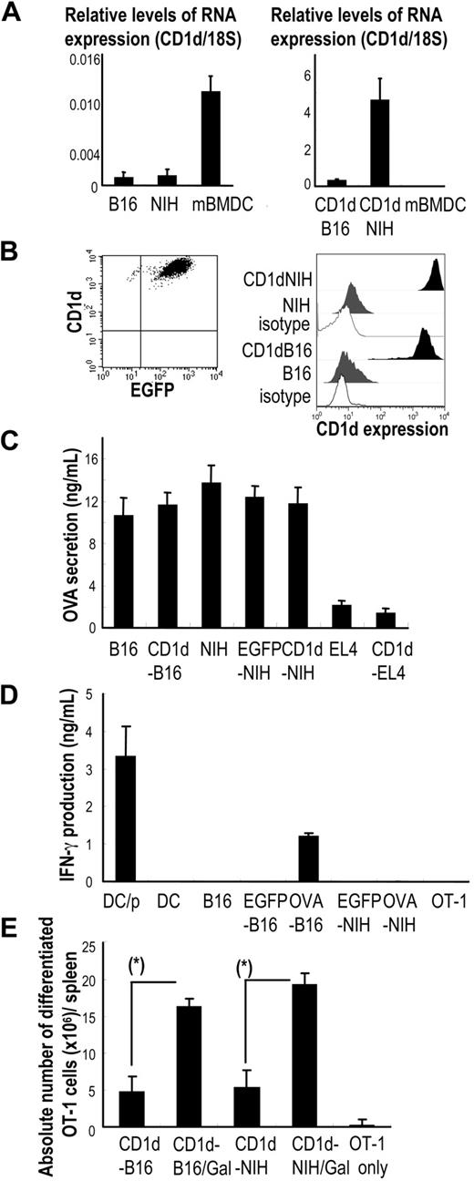 Figure 2. Antigen-presenting activity in mice immunized with mRNA-transfected cells loaded with α-GalCer. (A) We examined CD1d RNA expression levels in B16 cells, NIH3T3 cells, and murine bone marrow–derived DCs (mBM-DCs) as well as B16 and NIH3T3 cells after retrovirus-mediated transfer of a murine CD1d gene (CD1dhi-B16, CD1d hi-NIH3T3) by real-time PCR. (B) Because the retroviral vector contained both murine CD1d and GFP genes, the stable CD1dhi cell lines were selected to a purity of more than 98% on a FACSVantage cell sorter (left panel). The CD1d expression of parental cell lines or CD1d transfectants was analyzed by FACS (right panel). (C) After a 4-hour transduction, the expression of OVA protein was measured from cell lysates by ELISA. (D) The antigen-presenting activity was evaluated by coculturing OVA-transgeneic CD8+ T cells (OT-I cells) with each type of transfectant for 48 hours. The supernatants were collected and IFN-γ secretion was measured by ELISA. In this experiment, the B16 cell line was pretreated with IFN-γ for 12 hours to enhance MHC class I expression before coculture. (E) C57BL/6 mice were given 2 × 106 OT-I cells and then immunized 24 hours later with OVA mRNA-transfectants loaded with or without α-GalCer. Absolute numbers of OT-I cells in the spleen were measured 3 days later. α-GalCer–loaded CD1dhi-B16 transfected with OVA mRNA (CD1dhi-B16/Gal-ova) was administered to mice as a positive control. Data are representative of 2 independent experiments with 2 mice per group. Data are means plus or minus SEM of 4 mice per group. *P < .025 (CD1dhi-NIH3T3-ova vs CD1dhi-NIH3T3/Gal-ova, CD1dhi-B16-ova vs CD1dhi-B16/Gal-ova).