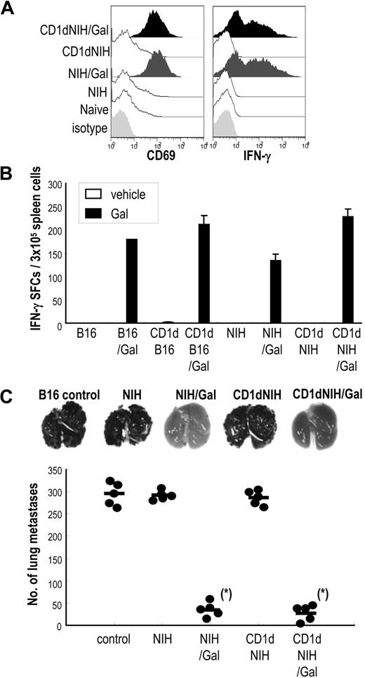 Figure 3. iNKT and NK cell–mediated antitumor effects in mice immunized with α-GalCer–loaded allogeneic fibroblasts. (A) C57BL/6 mice were immunized with α-GalCer–loaded, mRNA-transfected allogeneic fibroblasts, and spleen cells were collected 16 hours after immunization. Cells were stained with CD3–fluorescein isothiocyanate (FITC) and NK1.1-allophycocyanin and either CD69–phycoerythrin (PE) or intracellular IFN-γ–PE and evaluated by FACS (Document S1). Data of CD69 and IFN-γ shown have been gated on CD3−NK1.1+ cells. (B) To evaluate the function of iNKT cells, mice were injected intravenously with either 5 × 105 parental CD1dhi-NIH3T3/Gal cells or CD1dhi-B16/Gal cells. Spleens were removed 2 days later, and suspended cells were restimulated with or without α-GalCer (100 ng/mL) for 16 hours in IFN-γ ELISPOT assay plates (Document S1).53,54 Data are means from 3 mice per group. (C) Antitumor immunity generated by innate lymphocytes in response to injected allogeneic fibroblasts was evaluated using a B16 lung metastasis model. Mice were injected with 2 × 105 B16 melanoma cells intravenously, then 3 hours later given 5 × 105 NIH3T3, NIH3T3/Gal, CD1dhi-NIH3T3, or CD1dhi-NIH3T3/Gal. The number of lung metastases was counted 14 days later through the stereomicroscope (Leica MZ7.5) (n = 5 per group). Similar results were obtained in 2 independent experiments. *P < .025 (NIH3T3/Gal, CD1dhi-NIH3T3/Gal vs other groups; ie, NIH3T3, CD1dhi-NIH3T3, and control).