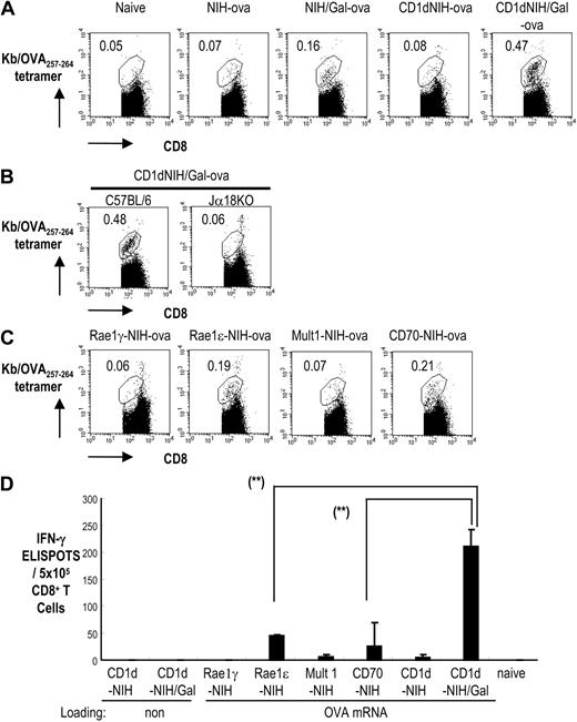 Figure 5. Evaluation of the effects of NK- and NKT-cell ligands on T-cell priming to NIH3T3 cells transfected with OVA antigen mRNA. (A) C57BL/6 mice were immunized with NIH3T3-ova, CD1dhi-NIH3T3-ova, NIH3T3/Gal-ova, or CD1dhi-NIH3T3/Gal-ova. Spleen cells were collected one week later to test for the development of OVA-specific T-cell immunity using Kb/OVA257-264 tetramer-PE and CD8-FITC. The number shown indicates the percentage of Kb/OVA257-264 tetramer–positive cells of the total CD8+ T cells. (B) C57BL/6 mice and Jα18−/− mice were immunized with CD1dhi-NIH3T3/Gal-ova. Spleen cells were analyzed as shown in panel A. The number shown indicates the percentage of Kb/OVA257-264 tetramer–positive cells of the total CD8+ T cells. (C) Mice were immunized with Rae-1ϵ-NIH3T3-ova, Rae-1γ-NIH3T3-ova, Mult1-NIH3T3-ova, or CD70-NIH3T3-ova. Spleen cells were analyzed as shown in panel A. (D) Spleen cells from different groups of immunized mice were collected one week after immunization. CD8+ T cells were positively selected from the spleens of naive or immunized mice and cocultured with OVA257-264 peptide-pulsed CD11c+ cells for 36 hours. IFN-γ secretion from CD8+ T cells in response to OVA257-264 peptide was evaluated by ELISPOT (Document S1). All data are means plus or minus SEM from 3 independent experiments with 2 mice per group. **P < .001 (indicated in panels: Rae-1ϵ-NIH3T3-ova and CD70-NIH3T3-ova vs CD1dhi-NIH3T3/Gal-ova).