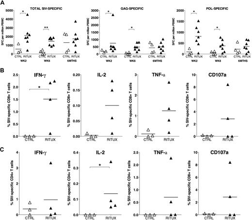 Figure 7. Comparison of the magnitude of SIV-specific cellular immune responses in control and rituximab-treated rhesus macaques at early and late time points after SIV infection. (A) SIV-specific IFN-γ ELISPOT responses in control (CTRL) and rituximab-treated (RITUX) RMs at weeks 2 and 6, and 6 months after SIV infection shown. ELISPOT responses against SIV Gag and Pol proteins (Gag-specific and Pol-specific) as well as the sum of responses against individual SIV proteins representing the entire SIV proteome (total SIV-specific) shown. (B,C) Intracellular cytokine staining assay in control and rituximab-treated RMs at 6 weeks after SIV infection showing the frequency of (B) total SIV-specific CD8+ T lymphocytes and (C) total SIV-specific CD4+ T lymphocytes secreting IFN-γ, IL-2, TNF-α, and undergoing degranulation (surface CD107a+) after 16 hours of in vitro stimulation with SIV peptides in the presence of brefeldin A and monensin. Stimulation with SIVmac239 sequence-based peptide pool. Asterisks denote P values less than .05 (*) and less than .01 (**) for differences between and control and rituximab-treated RMs using the Mann-Whitney U test.