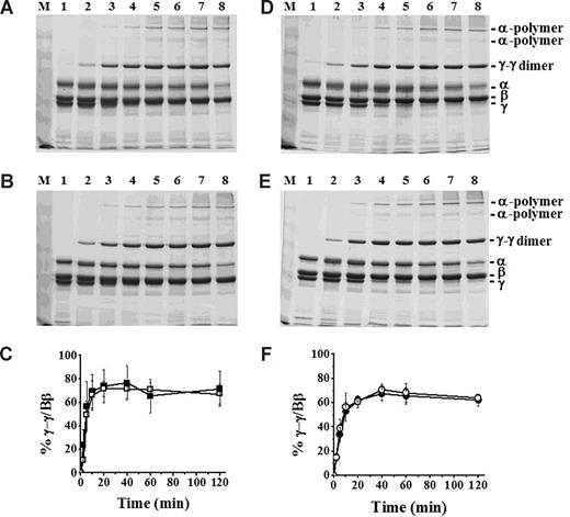 Figure 4. FXIIIa cross-linking of BβD432A and normal recombinant fibrinogen. Cross-linking was examined by 8% SDS-PAGE under reducing conditions. Fibrinogen (5 μg) was incubated with either FXIIIa and thrombin at final concentrations of 3.3 U/mL and 0.07 U/mL, respectively (A: normal, B: BβD432A) or FXIIIa and batroxobin at final concentrations of 3.3 U/mL and 0.08 U/mL, respectively (D: normal, E: BβD432A). The samples were incubated for 0 minutes (lane 1), 2 minutes (lane 2), 5 minutes (lane 3), 10 minutes (lane 4), 20 minutes (lane 5), 40 minutes (lane 6), 1 hour (lane 7), and 2 hours (lane 8). Data were analyzed by determining the ratio of γ-γ dimers to Bβ-chain by densitometry and are plotted against time (thrombin-polymerized; C: ■ indicates normal; □, BβD432A; and batroxobin-polymerized: F: ● indicates normal; ○, BβD432A). The error bars (C,F) represent SDs of 3 experiments.