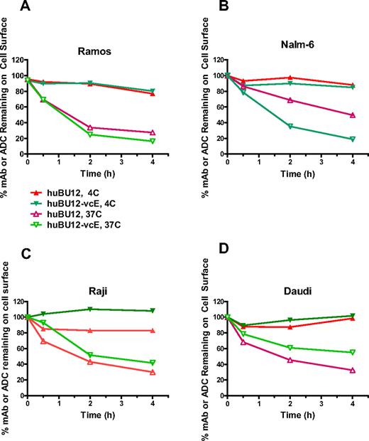 Figure 1. Internalization kinetics of hBU12 and hBU12-vcMMAE on NHL and ALL tumor cell lines. Internalization kinetics of hBU12 and hBU12-vcMMAE was determined by flow cytometry of CD21low (A) Nalm-6 and (B) Ramos cells. The majority of the compounds disappeared from the cell surface within 1 to 2 hours after incubation. Internalization kinetics of hBU12 and hBU12-vcMMAE on CD21high (C) Raji and (D) Daudi cells. Similar to our findings with CD21low cells, the majority of the compounds internalized within 1 to 2 hours of incubation of CD21high cell lines. However, the fraction representing the noninternalized compounds was higher in CD21high compared with CD21low cells after 4 hours of incubation.