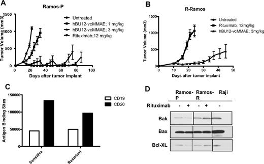 Figure 4. Efficacy of hBU12-vcMMAE in rituximab-resistant lymphomas. (A) Tumor growth curves of parental Ramos cells used to generate rituximab-resistant (R-Ramos) tumors. Tumor growth was significantly reduced by both rituximab (12 mg/kg, q4dx4) and hBU12-vcMMAE (3 mg/kg, q4dx4) treatment. The 2 peaks in the rituximab group were caused by the removal of 2 animals with tumors sizes exceeding 1000 mm3. (B) Tumor growth curves of rituximab-resistant R-Ramos tumors treated with hBU12-vcMMAE (3 mg/kg, intraperitoneally, q4dx4) or rituximab (12 mg/kg, q4dx4, intraperitoneally). hBU12 mAb failed to induce significant tumor growth delay in Ramos and R-Ramos (data not shown). Data shown in panels A and B are from one representative of 2 independent experiments, with 8 to 10 animals per group. (C) Flow cytometry to determine CD19 and CD20 expression levels on cells isolated from Ramos-P (sensitive) and R-Ramos (resistant) tumors. Comparable expression levels of both antigens were identified. (D) Western blot analysis of Bax, Bcl-XL, and Bak expression in rituximab-resistant Ramos cells (R-Ramos) or rituximab-sensitive, parental tumor cells (Ramos). Vertical lines have been inserted to indicate repositioned gel lanes.