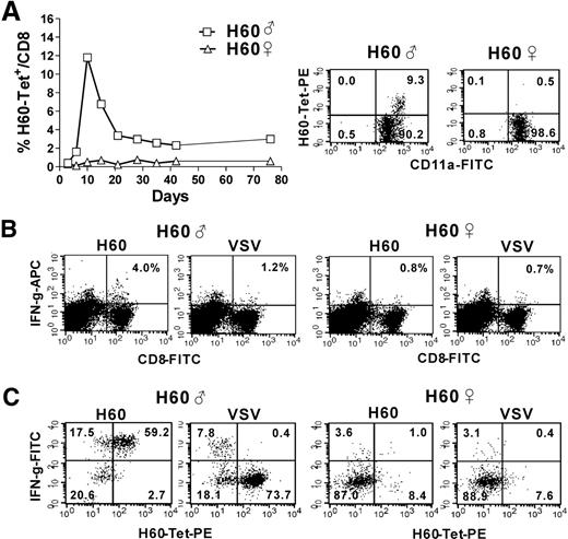 Figure 1. Primary H60-specific CD8 T cell response in the presence or absence of CD4 help. (A) Female B6 mice were immunized with male or female H60 cells and pooled PBLs from the immunized mice (12 mice per group) were stained with H60-tetramer-PE, anti–CD8-APC, and anti–CD11a-FITC. The proportion of H60-tetramer+ CD11a+ cells among the CD8+ cells is plotted. Representative flow cytometric data (gated for CD8+ cells) showing the peak primary response (day 10 after immunization) from more than 10 independent experiments are shown. (B) Splenocytes from mice immunized with male or female H60 cells were prepared on day 10 after immunization and tested ex vivo for IFN-γ production after stimulation with H60-peptide and VSV-peptide (control peptide). The cells were surface-stained with anti–CD8-FITC and anti–CD4-PE, and intracellular staining was performed with APC-conjugated anti–IFN-γ mAb. Representative flow cytometric data from 3 independent experiments are shown. The values in the upper right quadrants indicate IFN-γ–producing cells as a percentage of CD8 T cells. (C) Splenocytes from mice immunized with male or female H60 cells were cultured with irradiated male H60 splenocytes (mixed lymphocyte culture, MLC) for 7 days, and the CD8 effector T cells from each MLC were tested for IFN-γ. The cells were surface stained with H60-tetramer and anti–CD8-APC, and were stained for intracellular IFN-γ with FITC-conjugated mAb. Representative flow cytometric data from 3 independent experiments are shown (gated for CD8+ cells).