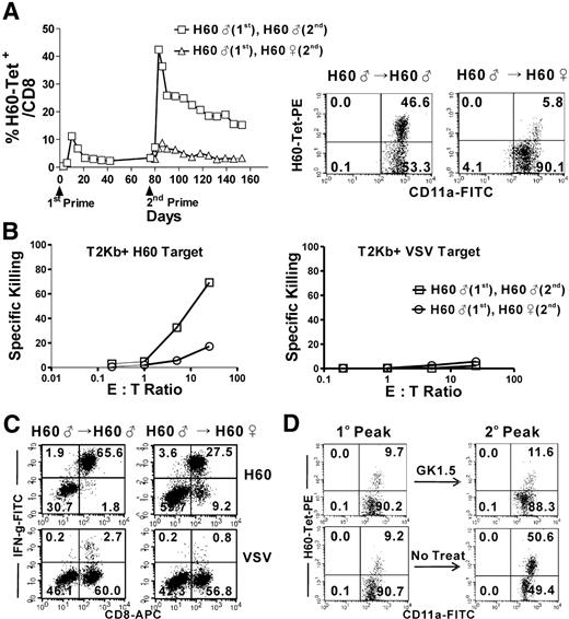 Figure 2. CD4 help is required for the appropriate development of a secondary H60-specific CD8 T-cell response. (A) Mice that had been previously immunized with male H60 cells were boosted with male or female H60 cells. PBLs from the twice-challenged mice (6 mice per group) were periodically checked for the binding of H60-tetramer, and the proportion of H60-tetramer+ CD11a+ cells among the CD8+ cells was plotted. Representative data from more than 10 experiments conducted on day 7 after secondary immunization are shown (gated for CD8+ cells). (B,C) CD8 effector cells from MLCs of splenocytes from the boosted mice on day 7 after secondary immunization were tested for specific cytotoxicity (B) and IFN-γ production (C) after stimulation with H60-peptide and VSV (control)–peptide. (D) The mice that had been previously immunized with male H60 cells were depleted of CD4 T cells by treatment with GK1.5 before boosting with male H60 cells. The FACS data showing the peak days for the primary (day 10 after primary immunization) and secondary (day 7 after secondary immunization) responses are compared. FACS data obtained from nondepleted mice (no treat) are shown as a control. The FACS data were gated for the CD8 T cells and are representative of 3 independent experiments.