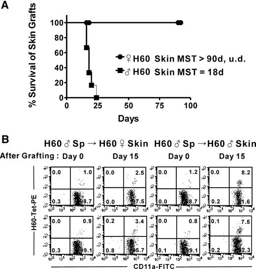 Figure 3. Requirement for CD4 T-cell help in the memory response is reproduced when mice are restimulated by skin transplantation. Mice that had been previously immunized with male H60 cells were transplanted with skin from male or female H60 congenic mice. (A) Mice were observed longer than 90 days after the transplantation. The data are pooled from 3 independent experiments (n = 6, P < .001). Mean survival time (MST) for each group is indicated (UD, undefined). (B) The mice were eye-bled on day 0, before skin transplantation, and on day 10 after skin transplantation. PBLs were stained with H60-tetramer-PE, anti–CD8-APC, and anti–CD11a-FITC. Flow cytometric analyses were done (gated for CD8+ cells); the data are representative of 3 independent experiments.
